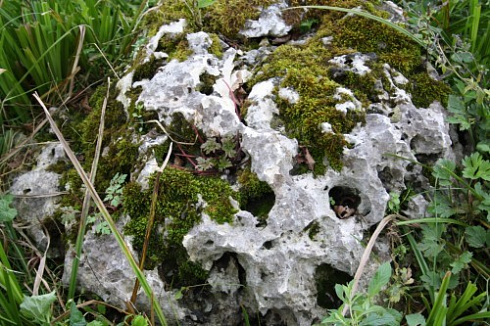 Kamenclub.ru: Выветренный известняк со мхом фр. 100-500 мм.  купить в Красноярске известняк серый белый зеленый валун известняковый крупный 10000 руб/т   фото КАМЕНЬ КЛУБ