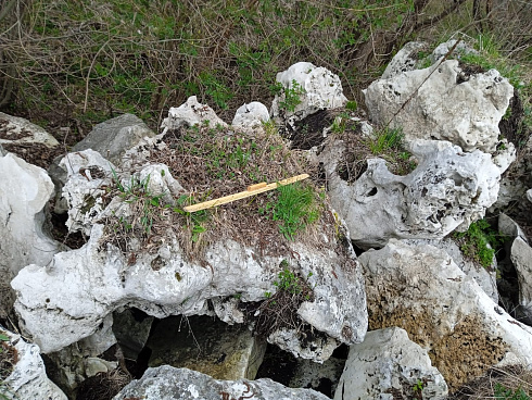 Kamenclub.ru: Выветренный известняк (степной) фр. 500-1500 мм.  купить в Красноярске    10000 руб/т   фото КАМЕНЬ КЛУБ