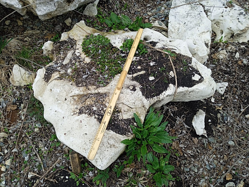 Kamenclub.ru: Выветренный известняк (степной) фр. 500-1500 мм.  купить в Красноярске    10000 руб/т   фото КАМЕНЬ КЛУБ