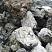 Kamenclub.ru: Черный гранит - кварцит фр. 100-500 мм.  купить в Красноярске мрамор гранит черный с белыми прожилками, серый, белый валун скальный колотый 7000 руб/т   фото КАМЕНЬ КЛУБ