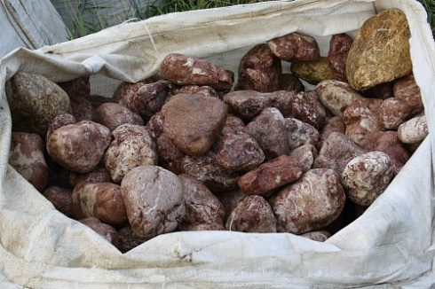 Kamenclub.ru: Розовый валунчик фр.100-300 мм.  купить в Красноярске крупный природный камень розовый, серый молочный красный речной галечник природный 7850 руб/т   фото КАМЕНЬ КЛУБ