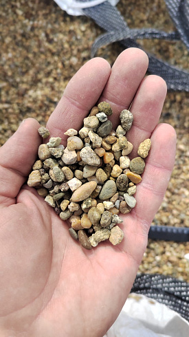 Kamenclub.ru: Галька окат (серо-желтая) фр.5-10 мм. купить  в Красноярске галька речная рыжий, желтый, рыжий, серо-желтый речная окатанная галька декоративная 5000 руб/т   фото КАМЕНЬ КЛУБ