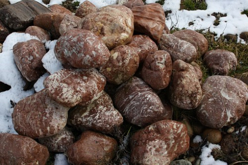 Kamenclub.ru: Розовый валунчик фр.100-300 мм.  купить в Красноярске крупный природный камень розовый, серый молочный красный речной галечник природный 7850 руб/т   фото КАМЕНЬ КЛУБ